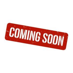 Toyota Landcruiser Prado 250 | 2 Post Bullbar