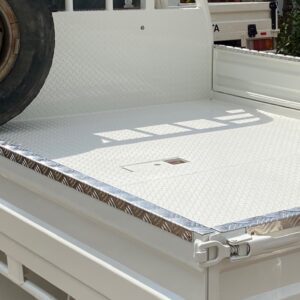 Gooseneck Mount D'Angelo