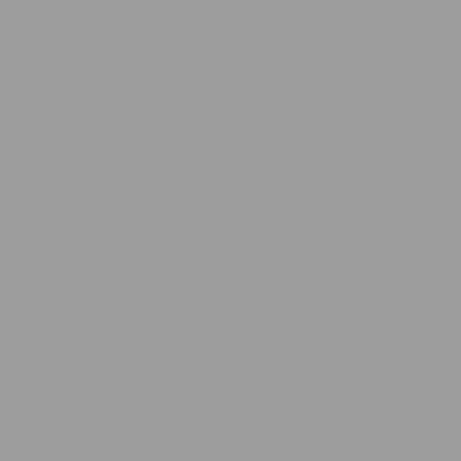 Stunning Silver Metallic (1L0)
